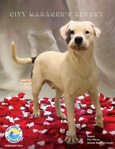 City Manager's Report - February 2024