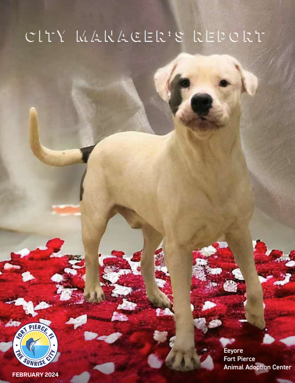 CM Report - February 2024