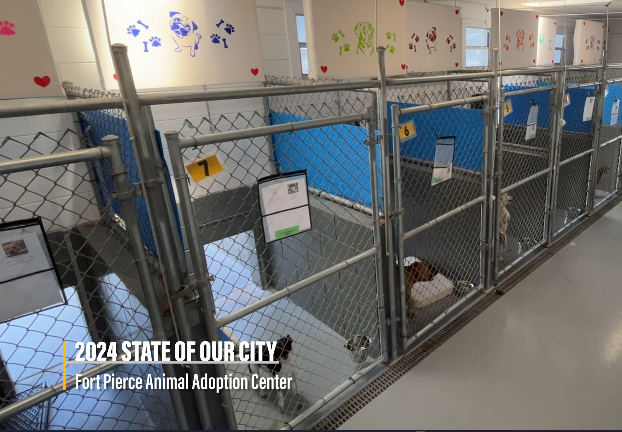 State of Our City - Animal Adoption Center