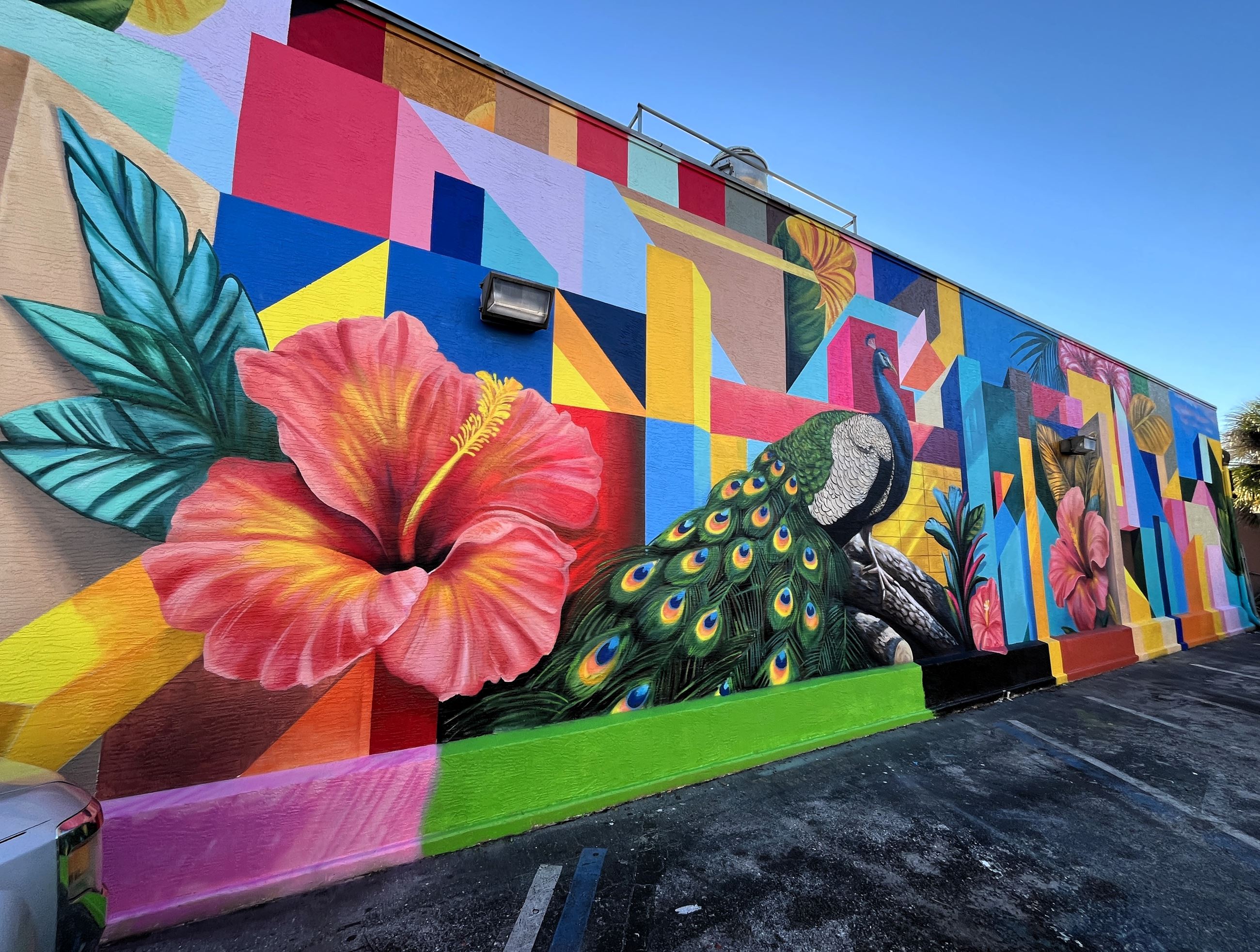 Mural at 607 Orange Ave. 