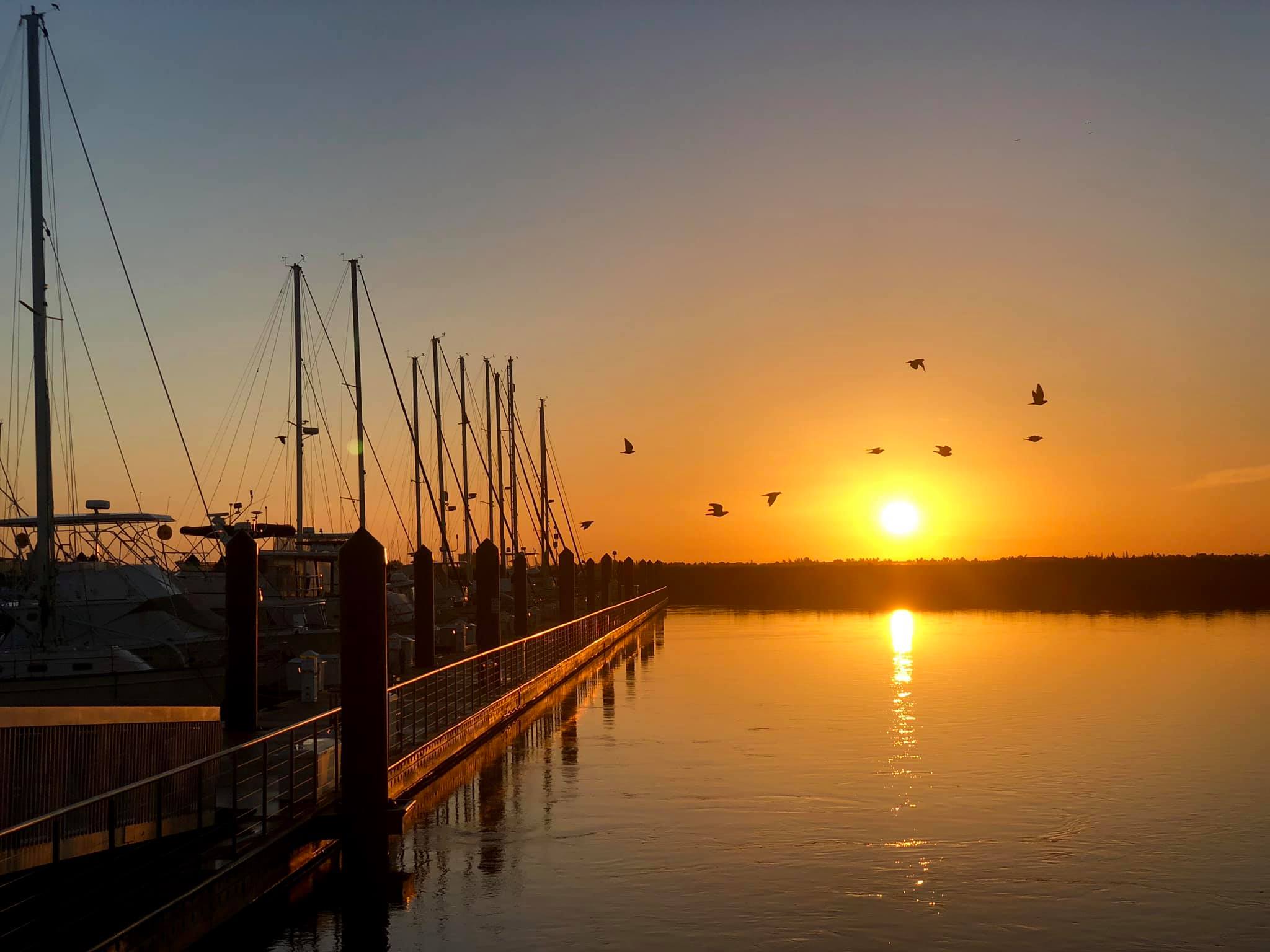 Marina North Webcam Opens in new window